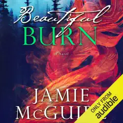 beautiful burn: a novel (unabridged) audiobook cover image