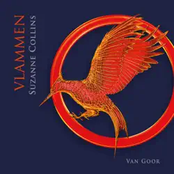 vlammen audiobook cover image