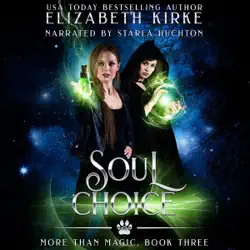 soul choice (more than magic book 3) (unabridged) audiobook cover image