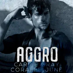 aggro: an emotional forbidden romance (unabridged) audiobook cover image