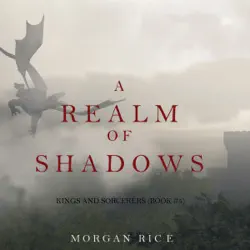 a realm of shadows (kings and sorcerers–book 5) audiobook cover image