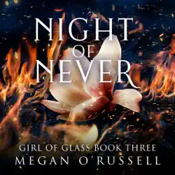 night of never audiobook cover image