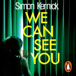 we can see you audiobook cover image