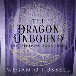 the dragon unbound audiobook cover image