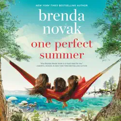 one perfect summer audiobook cover image