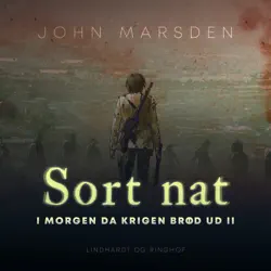 sort nat audiobook cover image