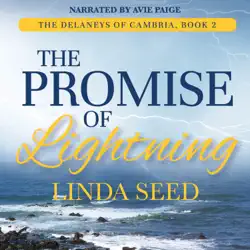 the promise of lightning: the delaneys of cambria, book 2 (unabridged) audiobook cover image