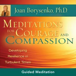 meditations for courage and compassion audiobook cover image