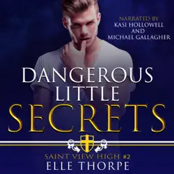 dangerous little secrets audiobook cover image