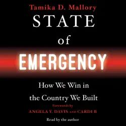 state of emergency (unabridged) audiobook cover image