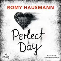 perfect day audiobook cover image