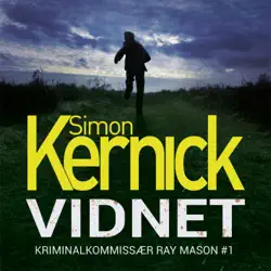 vidnet audiobook cover image