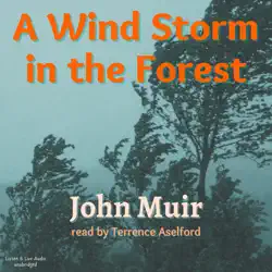 a wind storm in the forest audiobook cover image