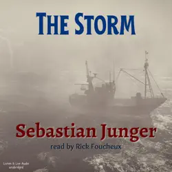 the storm audiobook cover image