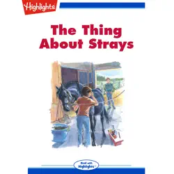 the thing about strays audiobook cover image