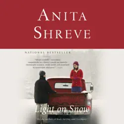 light on snow audiobook cover image