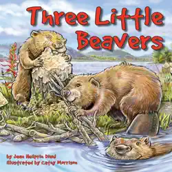 three little beavers audiobook cover image