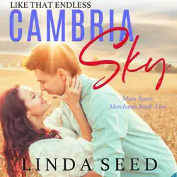 like that endless cambria sky: main street merchants, book 2 (unabridged) audiobook cover image