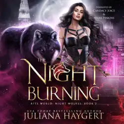 the night burning audiobook cover image