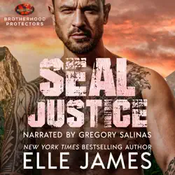 seal justice audiobook cover image