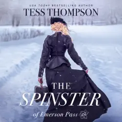 the spinster audiobook cover image