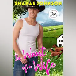 in want of a wife audiobook cover image