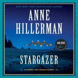 stargazer audiobook cover image