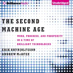 the second machine age: work, progress, and prosperity in a time of brilliant technologies (unabridged) audiobook cover image