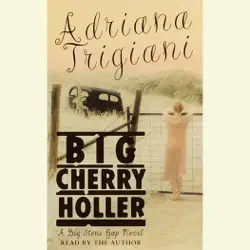big cherry holler (unabridged) audiobook cover image