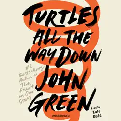 turtles all the way down (unabridged) audiobook cover image