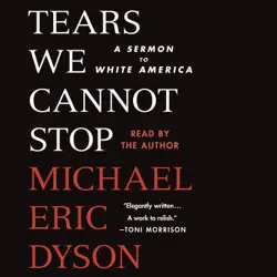 tears we cannot stop audiobook cover image
