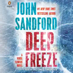 deep freeze (unabridged) audiobook cover image