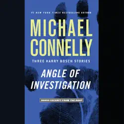 angle of investigation audiobook cover image