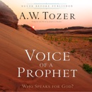 Voice of a Prophet: Who Speaks for God? MP3 Audiobook