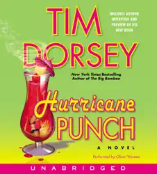hurricane punch audiobook cover image
