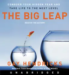 the big leap audiobook cover image