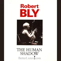 the human shadow audiobook cover image