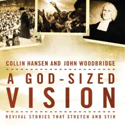 a god-sized vision audiobook cover image