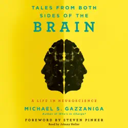 tales from both sides of the brain audiobook cover image