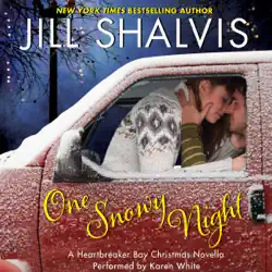 one snowy night audiobook cover image