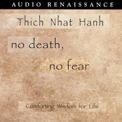 no death, no fear audiobook cover image