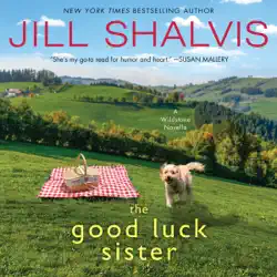 the good luck sister audiobook cover image