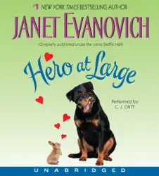 hero at large audiobook cover image