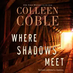 where shadows meet audiobook cover image