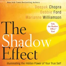 the shadow effect audiobook cover image