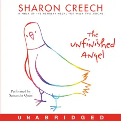 the unfinished angel audiobook cover image