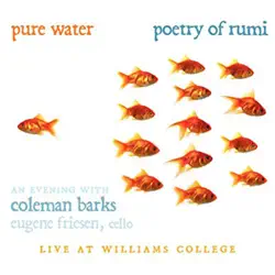 pure water audiobook cover image