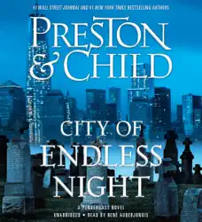 city of endless night audiobook cover image