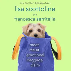 meet me at emotional baggage claim audiobook cover image