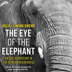 the eye of the elephant audiobook cover image